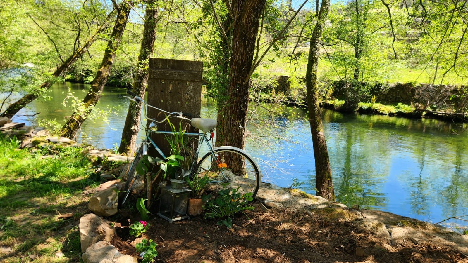 Riverside scene at A PONTE - Secret Garden with bicycle and trees by the water